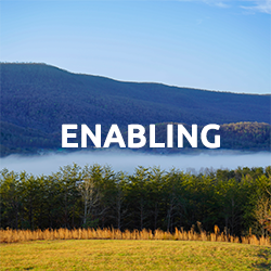 Enabling icon