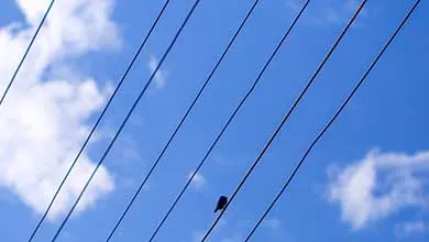 A single bird perched on a power line against a blue sky with scattered clouds and parallel wires.